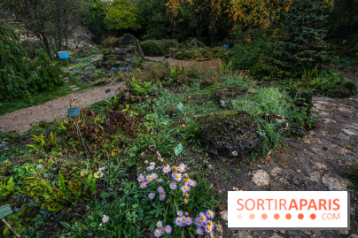 Le Jardin Alpin caché du Jardin des Plantes