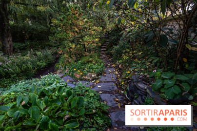 Le Jardin Alpin caché du Jardin des Plantes