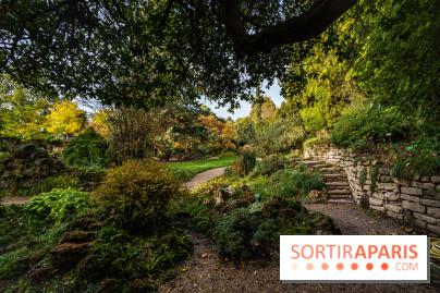 Le Jardin Alpin caché du Jardin des Plantes