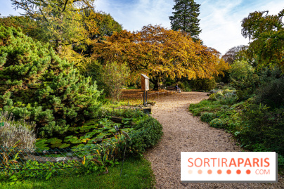 Le Jardin Alpin caché du Jardin des Plantes