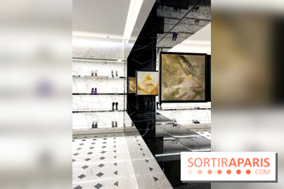 Exposition Elladj Lincy Deloumeaux chez Saint Laurent Rive Droite