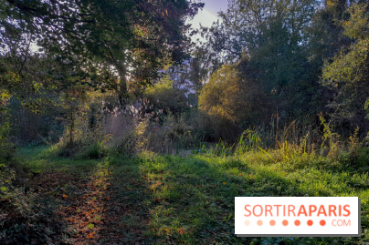 Issy - parc de l'île Saint Germain et Tour aux figures 