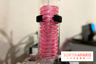 Atelier création de gin à la distillerie Baccae