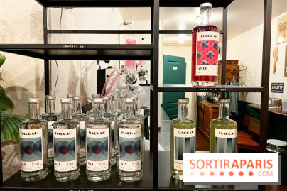 Atelier création de gin à la distillerie Baccae