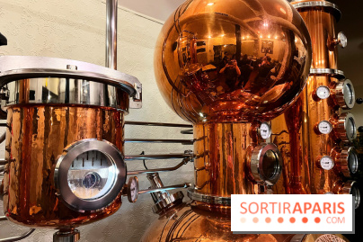 Atelier création de gin à la distillerie Baccae