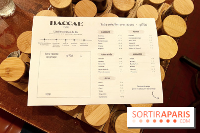 Atelier création de gin à la distillerie Baccae