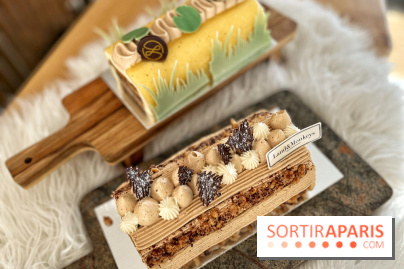 Bûches de Noël végétales des maisons Landemaine et Land&Monkeys