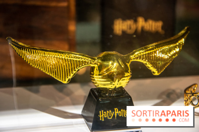 Harry Potter : nos photos du pop-up store Arribas, spécialisé dans le verre, sur les Champs-Elysées