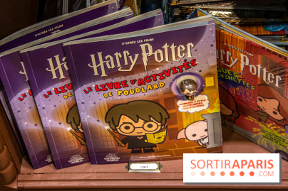 Harry Potter : nos photos du pop-up store Arribas, spécialisé dans le verre, sur les Champs-Elysées