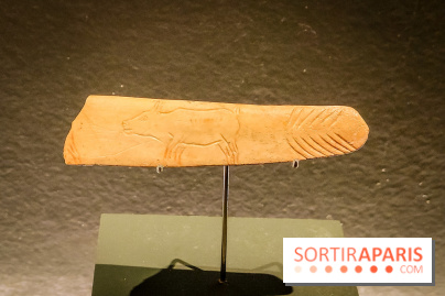 Arts et Préhistoire, l'exposition de peintures rupestres au Musée de l'Homme - nos photos