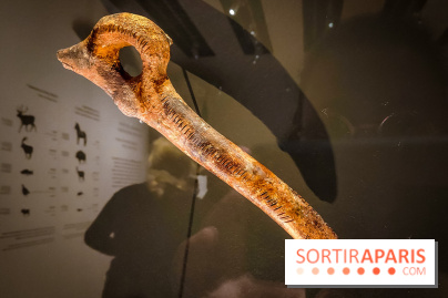 Arts et Préhistoire, l'exposition de peintures rupestres au Musée de l'Homme - nos photos