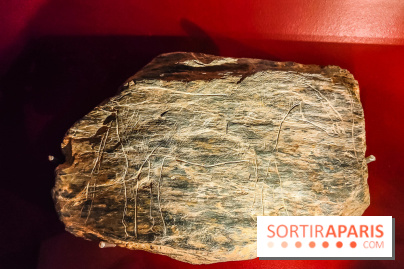 Arts et Préhistoire, l'exposition de peintures rupestres au Musée de l'Homme - nos photos