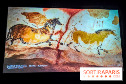 Arts et Préhistoire, l'exposition de peintures rupestres au Musée de l'Homme - nos photos