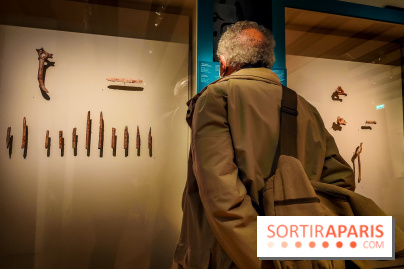 Arts et Préhistoire, l'exposition de peintures rupestres au Musée de l'Homme - nos photos