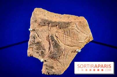 Arts et Préhistoire, l'exposition de peintures rupestres au Musée de l'Homme - nos photos