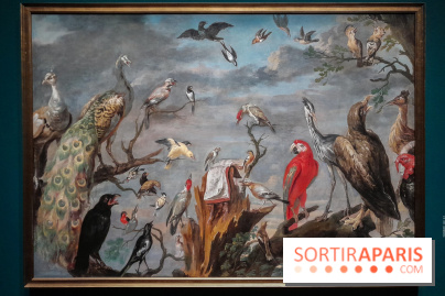 Musicanimale, l'exposition à la Philharmonie