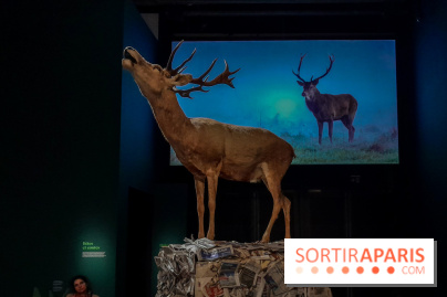 Musicanimale, l'exposition à la Philharmonie