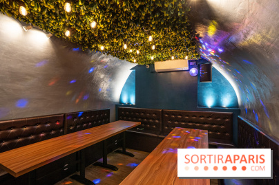 Dimdimsum Paris, le restaurant de vapeurs - karaoké