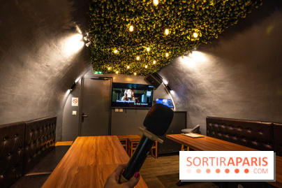 Dimdimsum Paris, le restaurant de vapeurs - karaoké