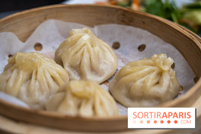 Dimdimsum Paris, le restaurant de vapeurs - ravioli