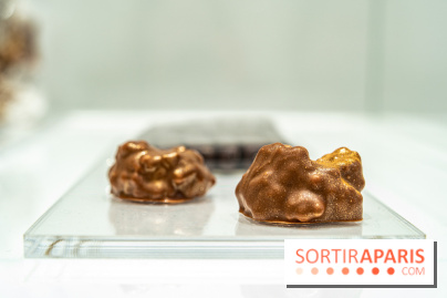 Jade Genin Chocolaterie Paris, les photos  - rocher chocolat lait
