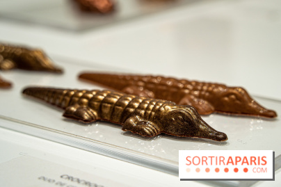 Jade Genin Chocolaterie Paris, les photos - crocodile praliné