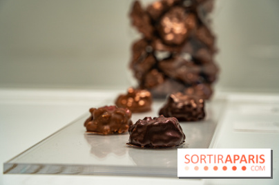 Jade Genin Chocolaterie Paris, les photos  - rocher chocolat