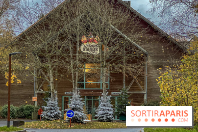 Réveillon de Noël et du Nouvel an au Parc Astérix 