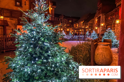 Réveillon de Noël et du Nouvel an au Parc Astérix 