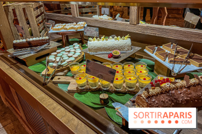 Réveillon de Noël et du Nouvel an au Parc Astérix 