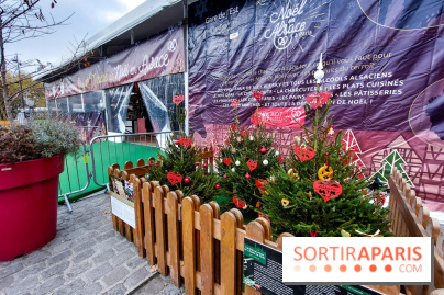 Marché de Noël 2022 alsacien à Gare de l'Est, nos photos