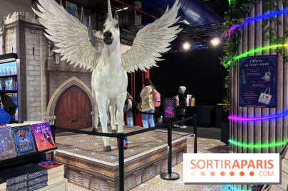 Salon du livre et de la presse jeunesse de Montreuil  - IMG 1227