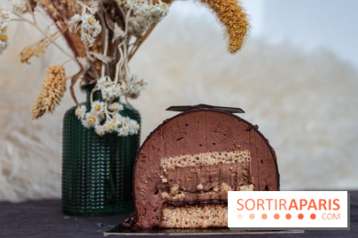 Les bûches de Noël 2022 d'oh oui!, la pâtisserie sans sucres IG bas- buche chocolat