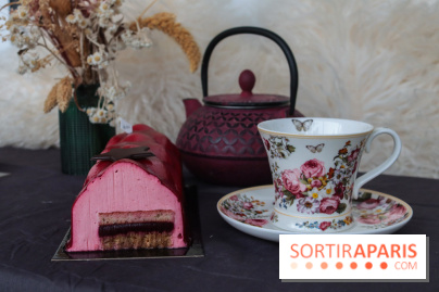 Les bûches de Noël 2022 d'oh oui!, la pâtisserie sans sucres IG bas- buche fruits rouges