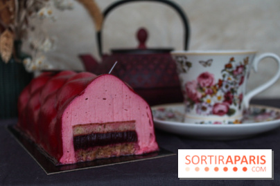 Les bûches de Noël 2022 d'oh oui!, la pâtisserie sans sucres IG bas - buche fruits rouges