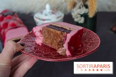 Les bûches de Noël 2022 d'oh oui!, la pâtisserie sans sucres IG bas- buche fruits rouges