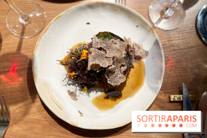 Source - Chartreuse et truffe noire