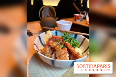 Enni Udon - Porc frit