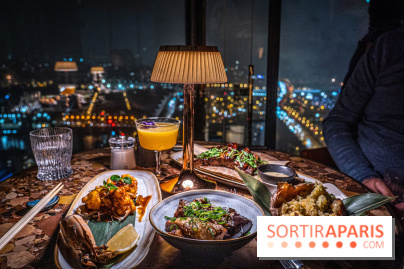 Too Restaurant - Too hôtel Paris - photos - menu - plat - vue