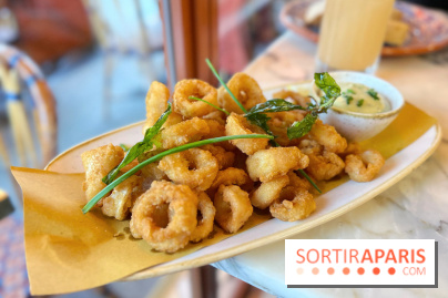 Pizzeria Agata - Calamars frits