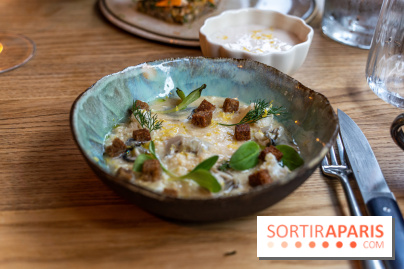 Ambos restaurant Paris - Cristina et Pierre Chomet - chou fleur - huitre