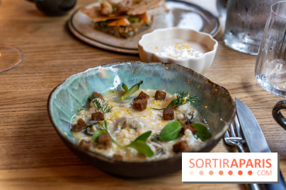 Ambos restaurant Paris - Cristina et Pierre Chomet - chou fleur - huitre