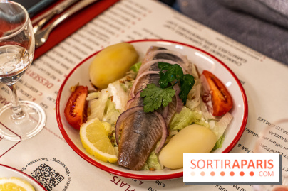 Petit Bouillon Versailles - restaurant près du Château de Versailles - entrée - harengs pomme de terre