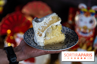 Nouvel an chinois - nouvel an lunaire - food Paris - spécialités