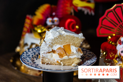 Nouvel an chinois - nouvel an lunaire - food Paris - spécialités