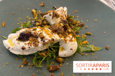 Le Restaurant Des Terres à Paris, une pépite de quartier abordable dans le 20e arrondissement