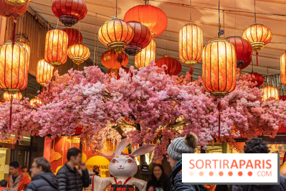 Paris Food Tour spécial 13e, quartier chinois - Tang Frères