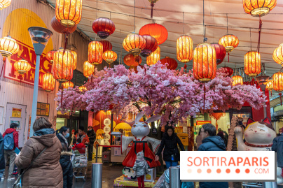 Paris Food Tour spécial 13e, quartier chinois - Tang Frères