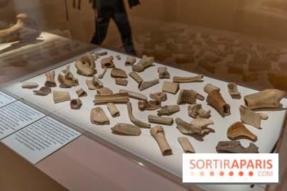 Picasso et la Préhistoire, les photos de l'exposition au Musée de l'Homme - ossements