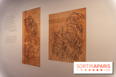 Picasso et la Préhistoire, les photos de l'exposition au Musée de l'Homme